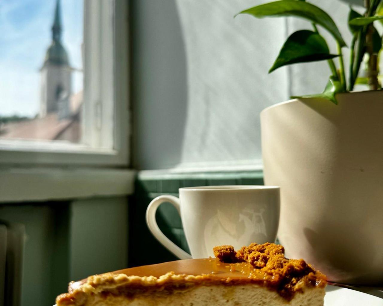 Extralarge Queen Room In The Heart Of Bratislava With Terrace エクステリア 写真