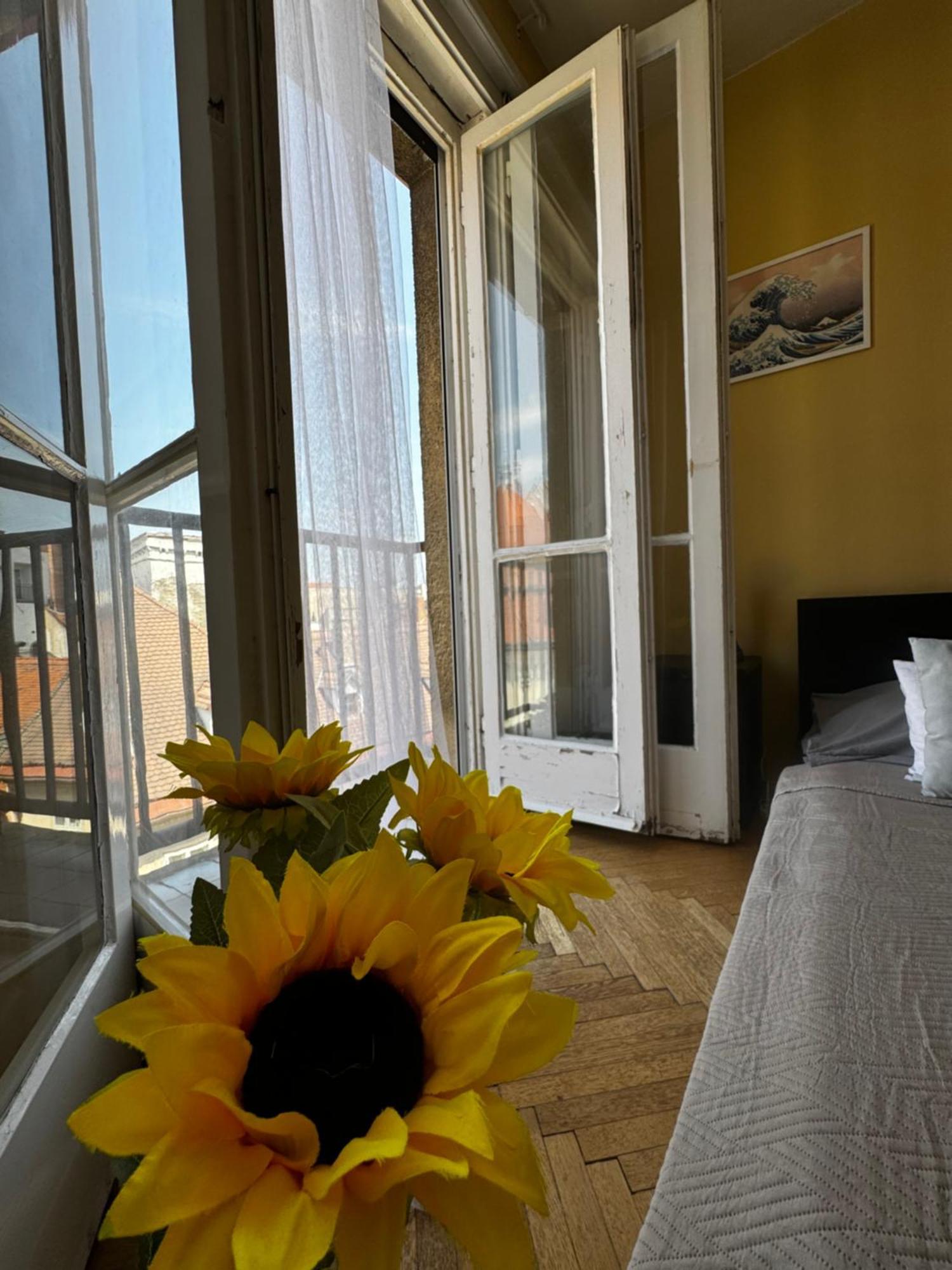 Extralarge Queen Room In The Heart Of Bratislava With Terrace エクステリア 写真