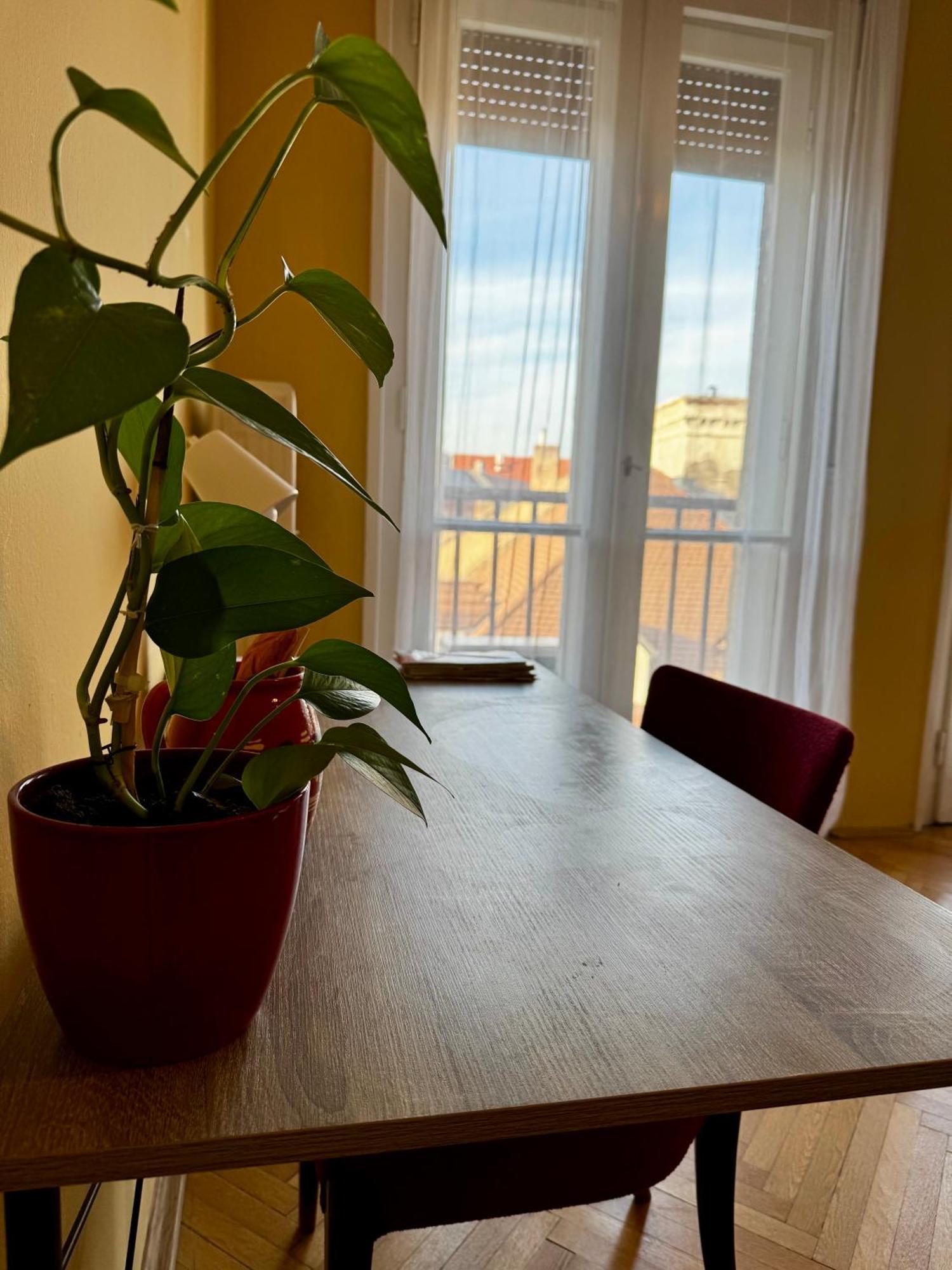 Extralarge Queen Room In The Heart Of Bratislava With Terrace エクステリア 写真